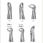 Tooth Extracting Forceps “English Pattern”