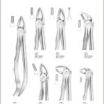 Tooth Extracting Forceps “With Fitting Handle”