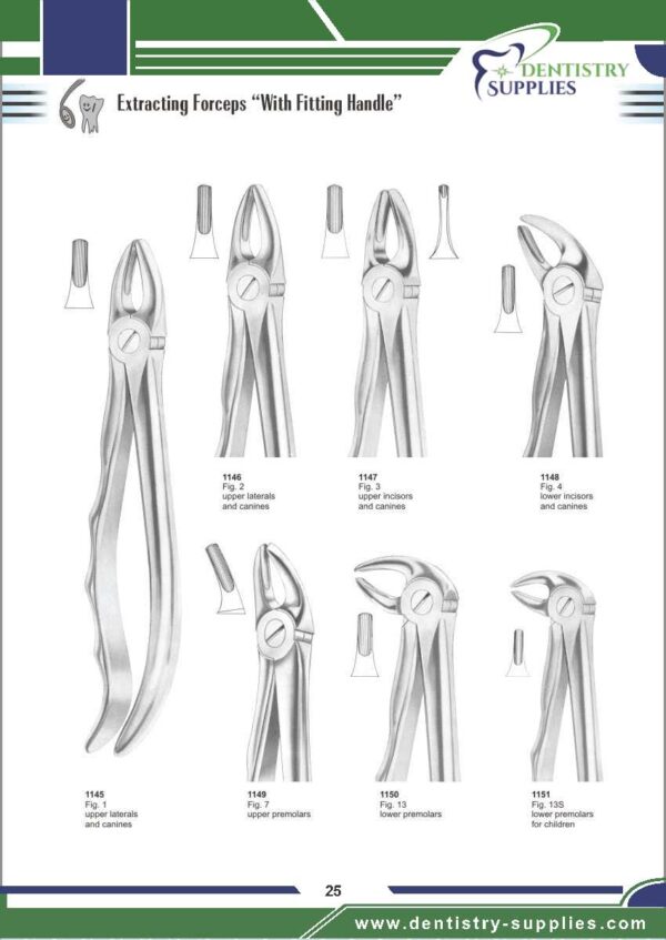 Tooth Extracting Forceps “With Fitting Handle”