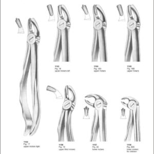 Tooth Extracting Forceps “With Fitting Handle”