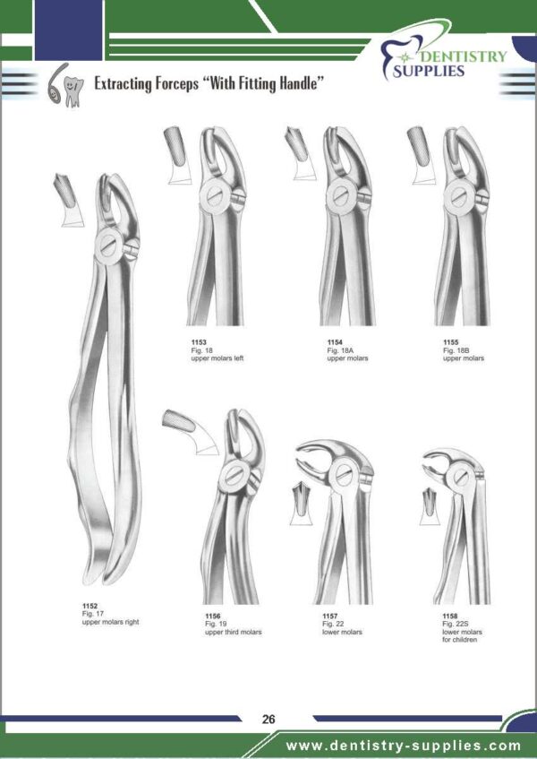 Tooth Extracting Forceps “With Fitting Handle”