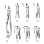 Tooth Extracting Forceps “With Fitting Handle”