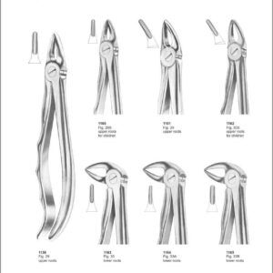 Tooth Extracting Forceps “With Fitting Handle”