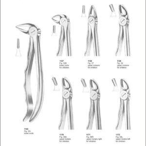 Tooth Extracting Forceps “With Fitting Handle”