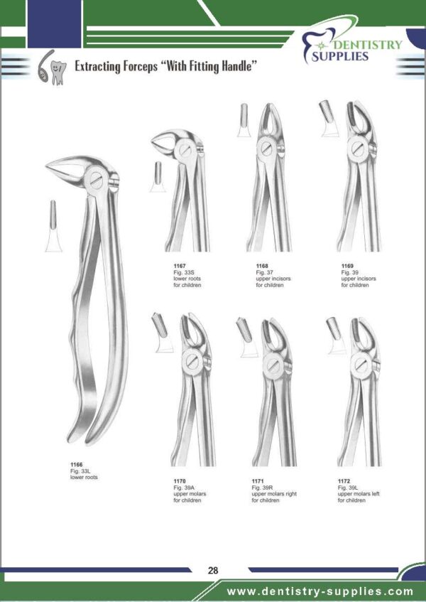 Tooth Extracting Forceps “With Fitting Handle”