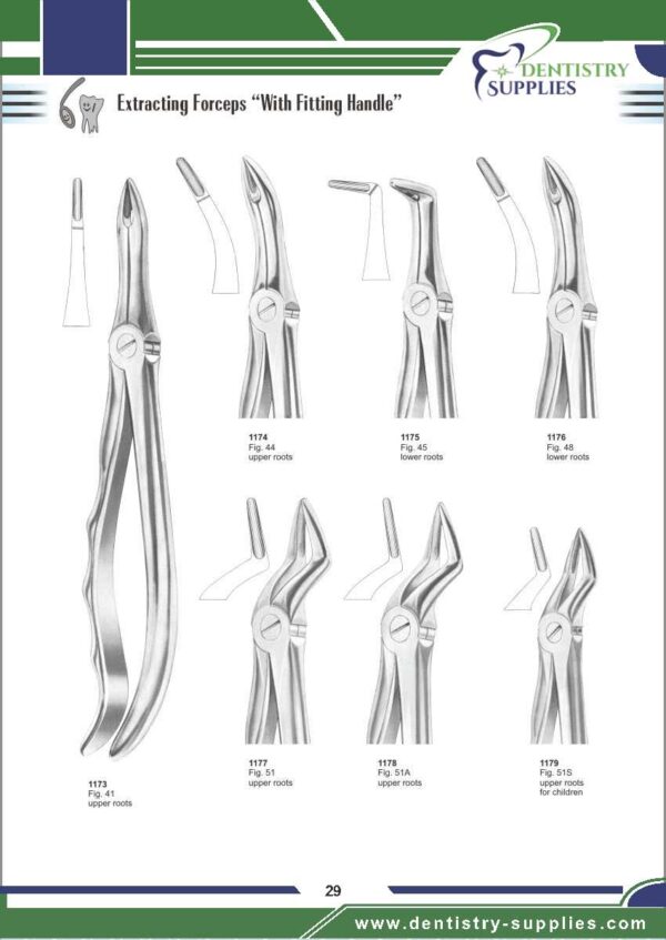 Tooth Extracting Forceps “With Fitting Handle”