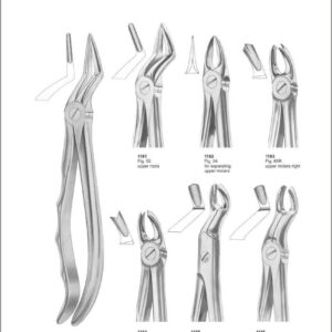 Tooth Extracting Forceps “With Fitting Handle”