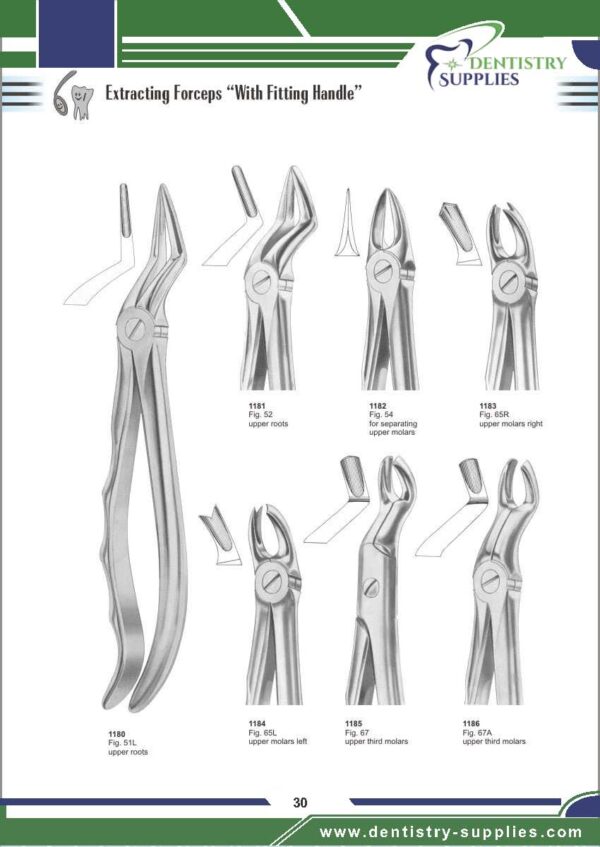 Tooth Extracting Forceps “With Fitting Handle”