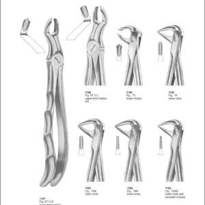 Tooth Extracting Forceps “With Fitting Handle”