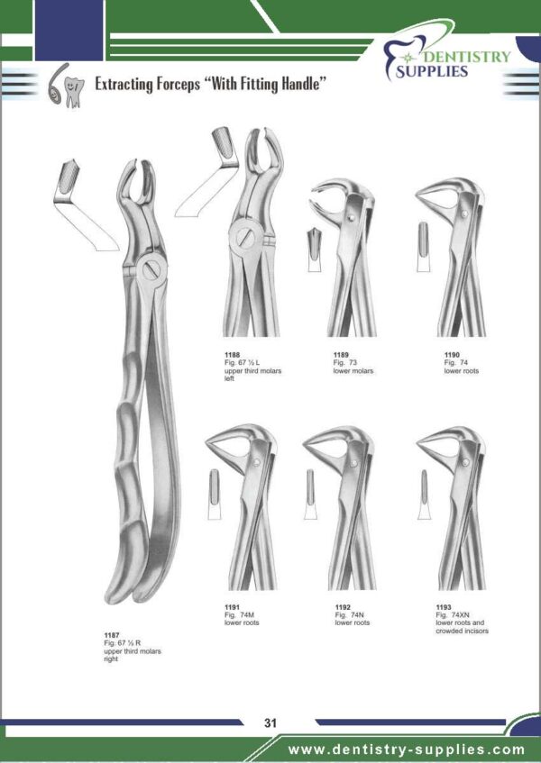 Tooth Extracting Forceps “With Fitting Handle”