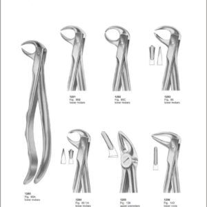 Tooth Extracting Forceps “With Fitting Handle”