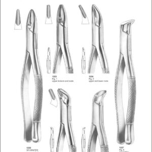 Tooth Extracting Forceps “American Pattern”