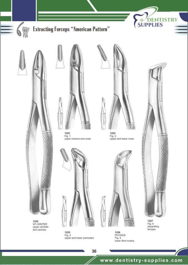 Tooth Extracting Forceps “American Pattern”