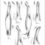 Tooth Extracting Forceps “American Pattern”