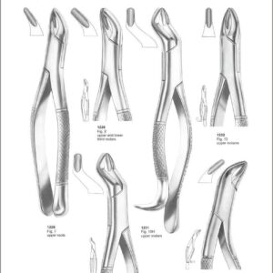 Tooth Extracting Forceps “American Pattern”