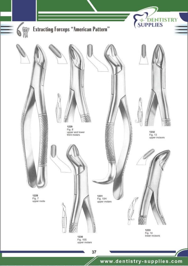 Tooth Extracting Forceps “American Pattern”