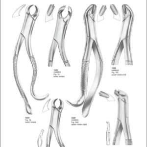 Tooth Extracting Forceps “American Pattern”