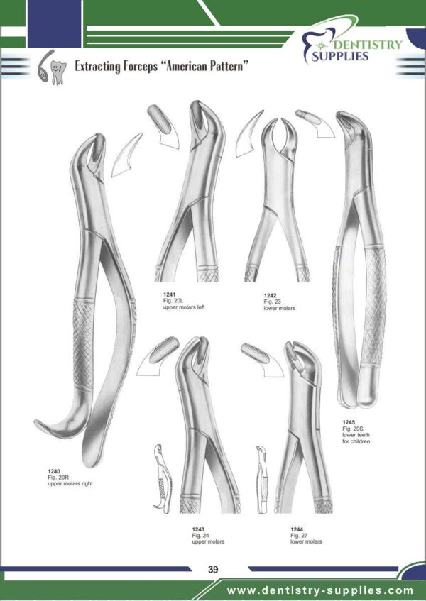 Tooth Extracting Forceps “American Pattern”