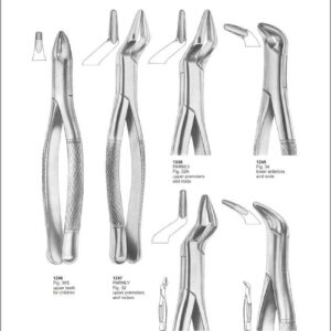 Tooth Extracting Forceps “American Pattern”