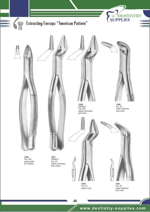 Tooth Extracting Forceps “American Pattern”
