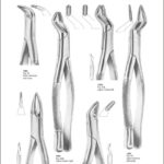 Tooth Extracting Forceps “American Pattern”