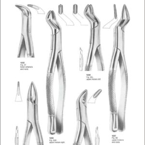 Tooth Extracting Forceps “American Pattern”