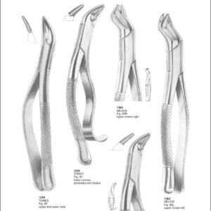 Tooth Extracting Forceps “American Pattern”