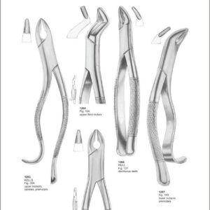 Tooth Extracting Forceps “American Pattern”