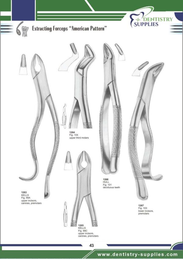 Tooth Extracting Forceps “American Pattern”