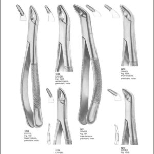 Tooth Extracting Forceps “American Pattern”