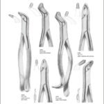 Tooth Extracting Forceps “American Pattern”