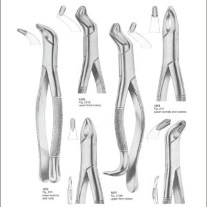 Tooth Extracting Forceps “American Pattern”