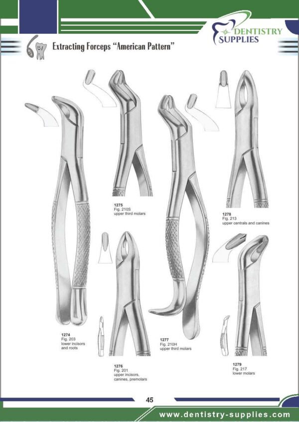 Tooth Extracting Forceps “American Pattern”