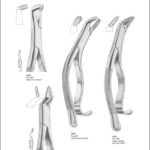 Tooth Extracting Forceps “American Pattern”