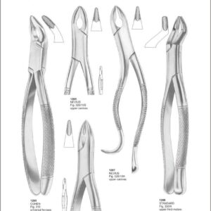 Tooth Extracting Forceps “American Pattern”