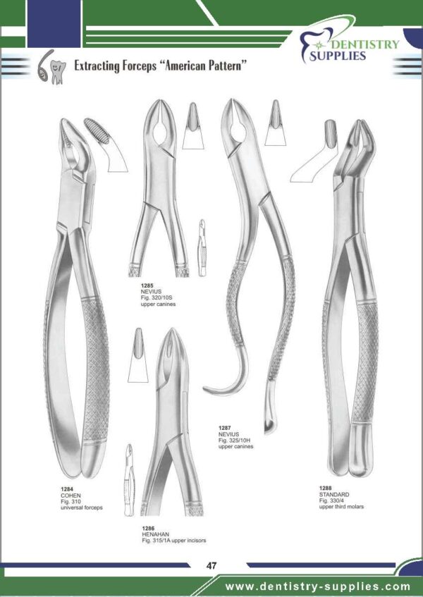 Tooth Extracting Forceps “American Pattern”