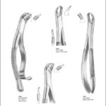 Tooth Extracting Forceps “American Pattern”