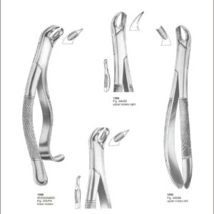 Tooth Extracting Forceps “American Pattern”