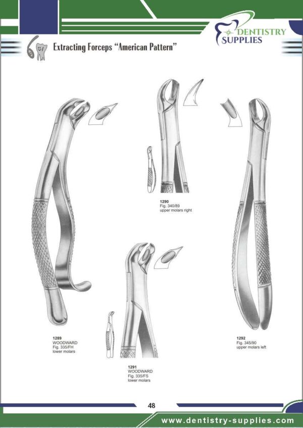 Tooth Extracting Forceps “American Pattern”
