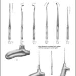 Root Elevators