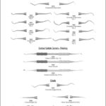 Carvers Chisels