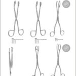 Sterilizing Forceps