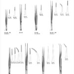 Delicate Dissecting Forceps