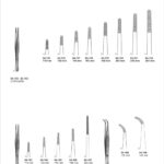 Dissecting Forceps