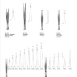 Tissue Forceps