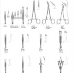 Splinter And Cilia Forceps