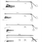 Biopsy Forceps For Rectum