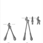 Plaster Shears
